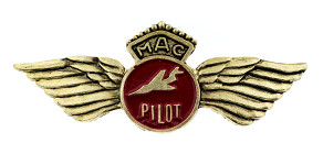 Martinair Pilot Wings